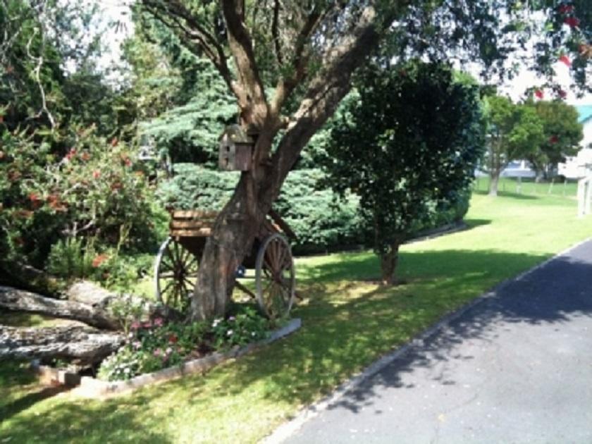 Dargaville Motel Exterior foto